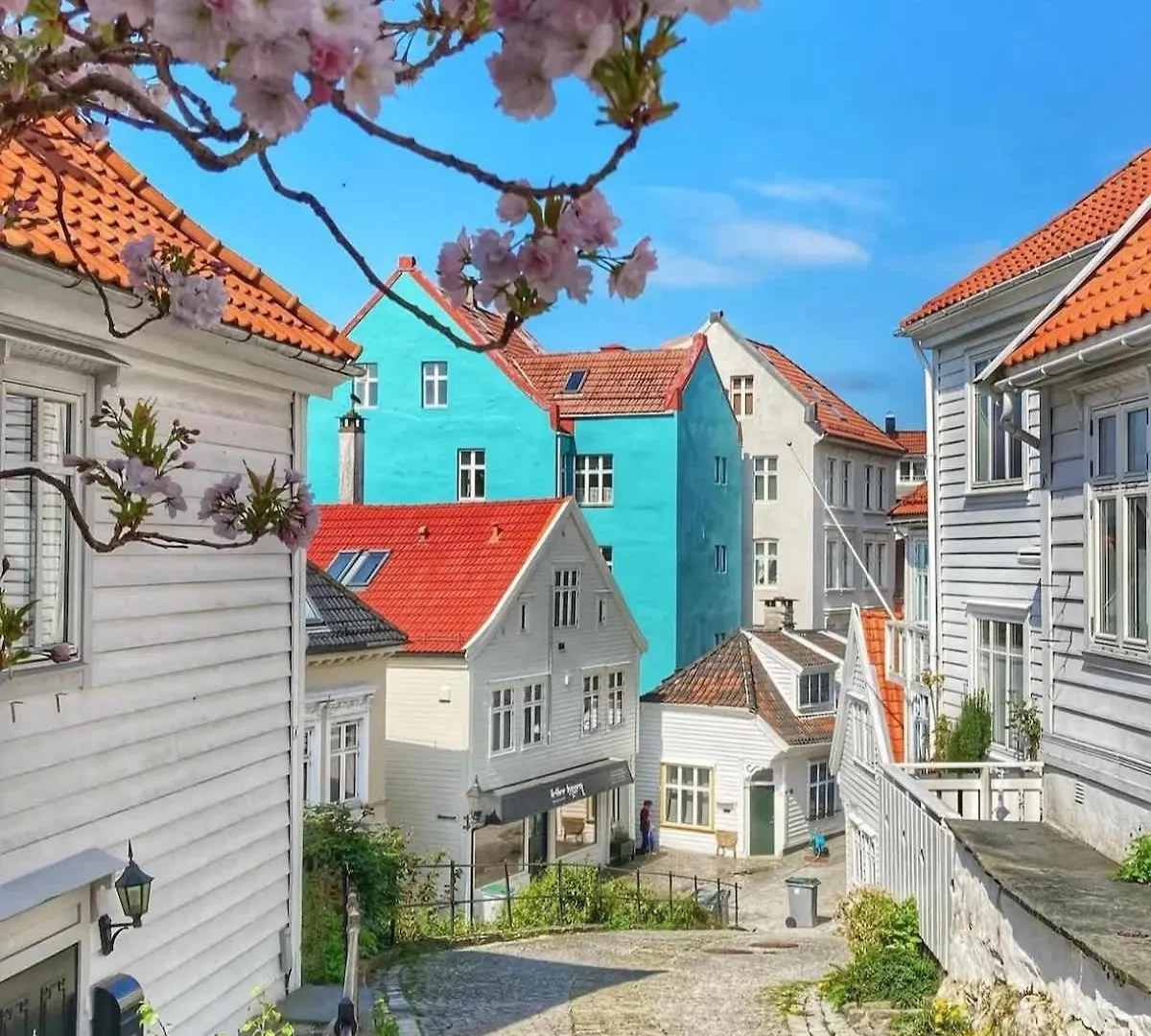 Dinbnb Homes I Historical 1850 House Bergen Norway